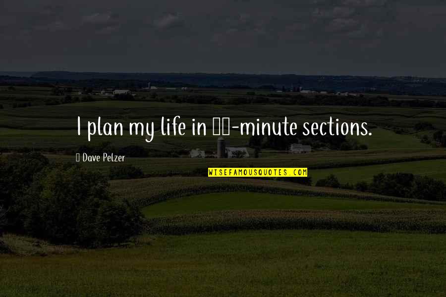 Starcraft 1 Zeratul Quotes By Dave Pelzer: I plan my life in 15-minute sections.