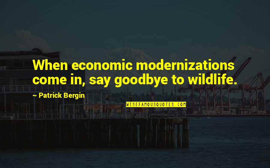 Stare Down Contest Quotes By Patrick Bergin: When economic modernizations come in, say goodbye to