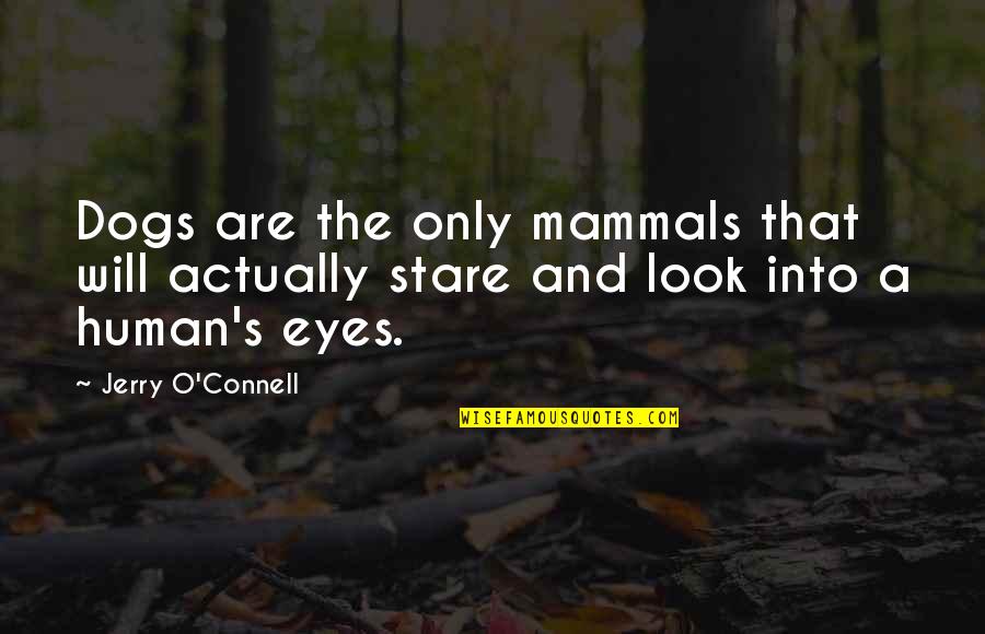 Stare Into Eyes Quotes By Jerry O'Connell: Dogs are the only mammals that will actually