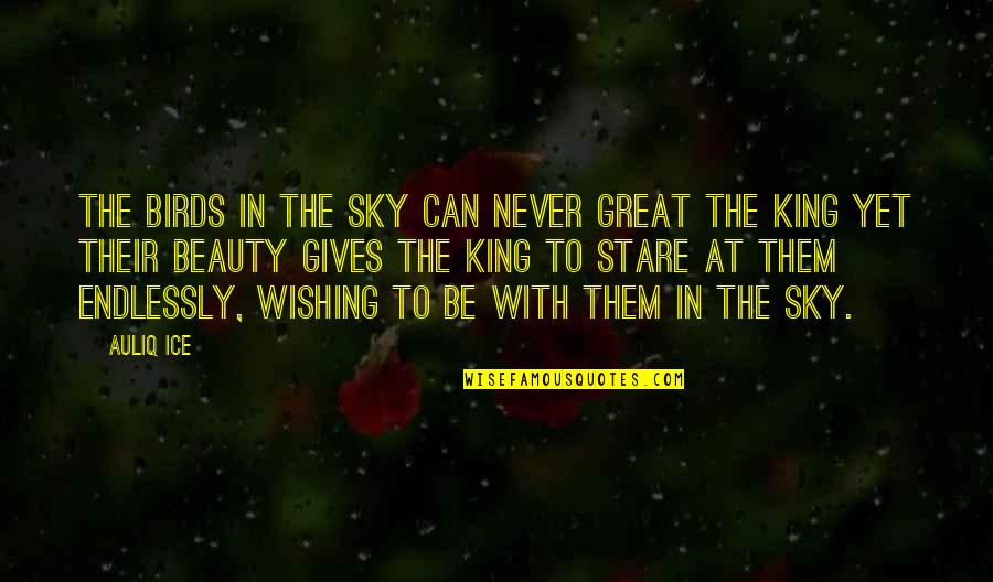 Stare Quotes And Quotes By Auliq Ice: The birds in the sky can never great