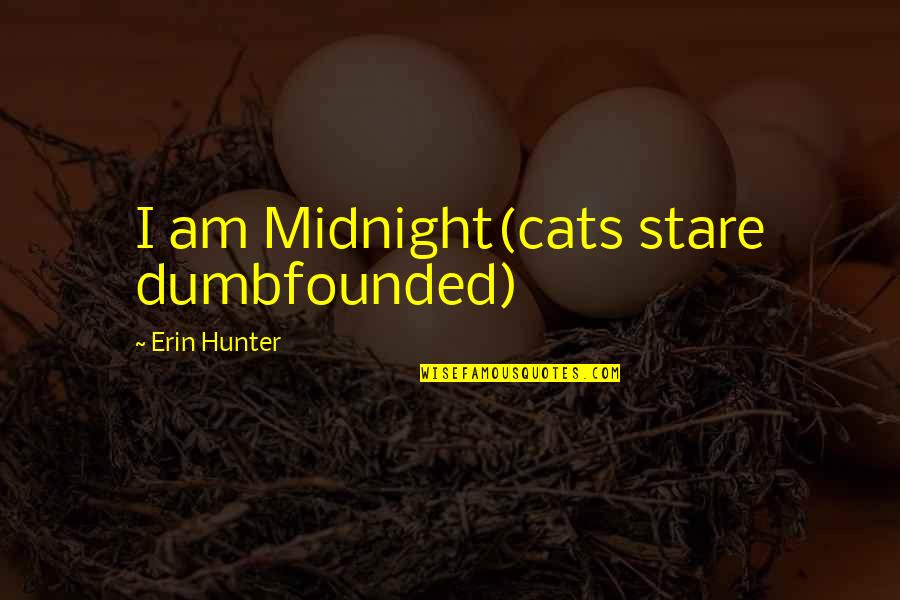Stare Quotes By Erin Hunter: I am Midnight(cats stare dumbfounded)