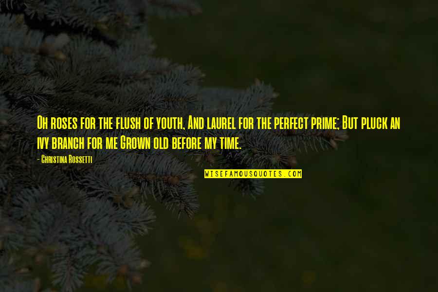 Stareigrice Quotes By Christina Rossetti: Oh roses for the flush of youth, And Stareigrice Quotes By Christina Rossetti: Oh roses for the flush of youth, And