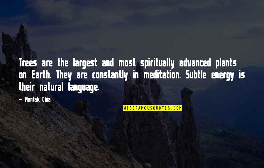Stareigrice Quotes By Mantak Chia: Trees are the largest and most spiritually advanced Stareigrice Quotes By Mantak Chia: Trees are the largest and most spiritually advanced