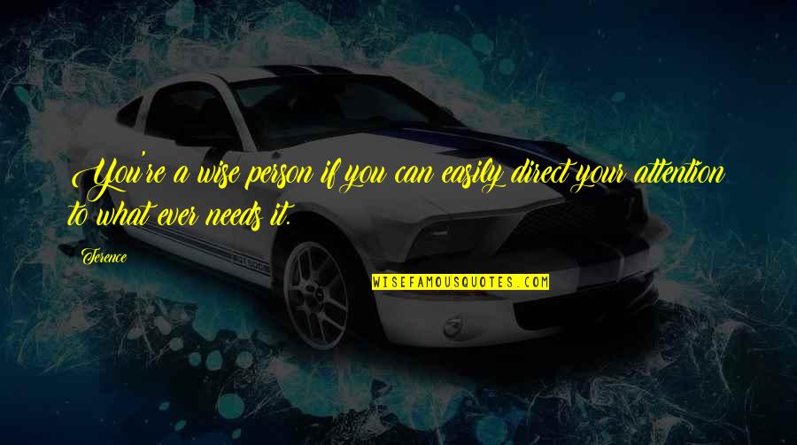Starfury Journey Quotes By Terence: You're a wise person if you can easily