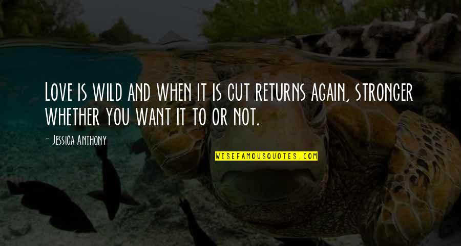 Starichi Quotes By Jessica Anthony: Love is wild and when it is cut Starichi Quotes By Jessica Anthony: Love is wild and when it is cut