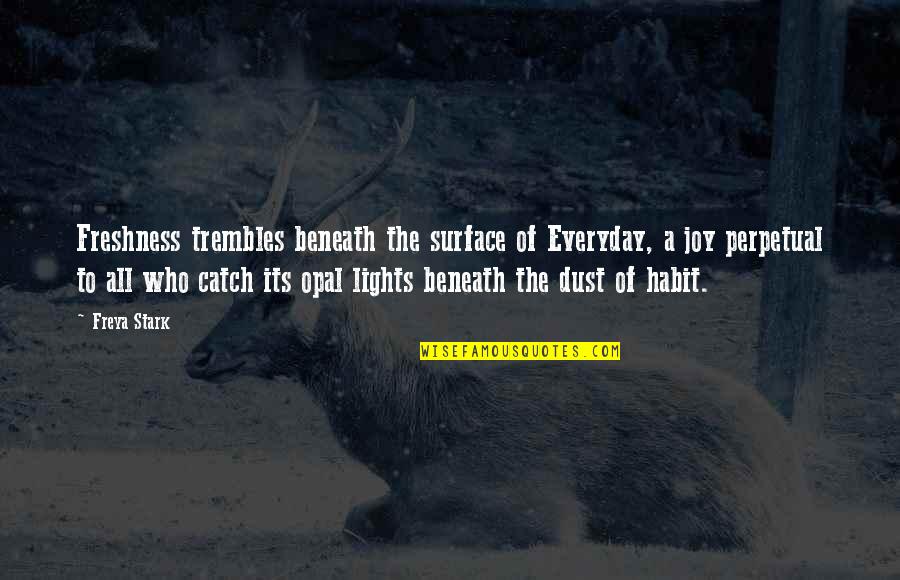 Stark Quotes By Freya Stark: Freshness trembles beneath the surface of Everyday, a Stark Quotes By Freya Stark: Freshness trembles beneath the surface of Everyday, a