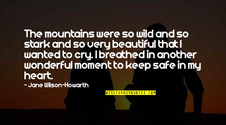 Stark Quotes By Jane Wilson-Howarth: The mountains were so wild and so stark Stark Quotes By Jane Wilson-Howarth: The mountains were so wild and so stark