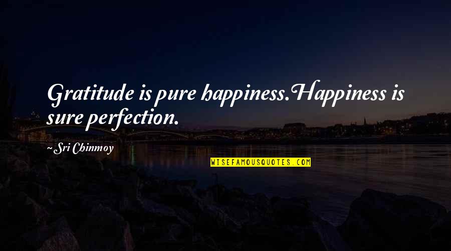 Starkiller Helmet Quotes By Sri Chinmoy: Gratitude is pure happiness.Happiness is sure perfection.