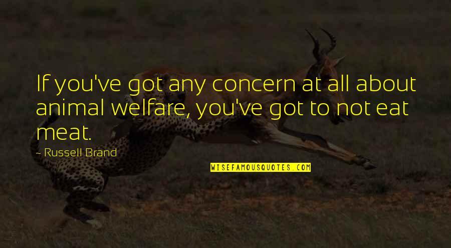 Starlings Quotes By Russell Brand: If you've got any concern at all about