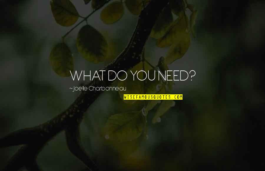Starnacht In Der Quotes By Joelle Charbonneau: WHAT DO YOU NEED? Starnacht In Der Quotes By Joelle Charbonneau: WHAT DO YOU NEED?