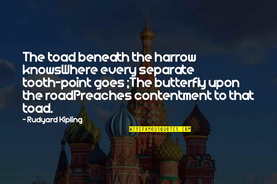 Starrkeisha Baby Quotes By Rudyard Kipling: The toad beneath the harrow knowsWhere every separate