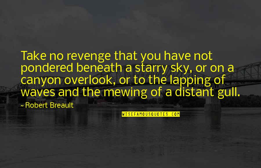 Starry Quotes By Robert Breault: Take no revenge that you have not pondered