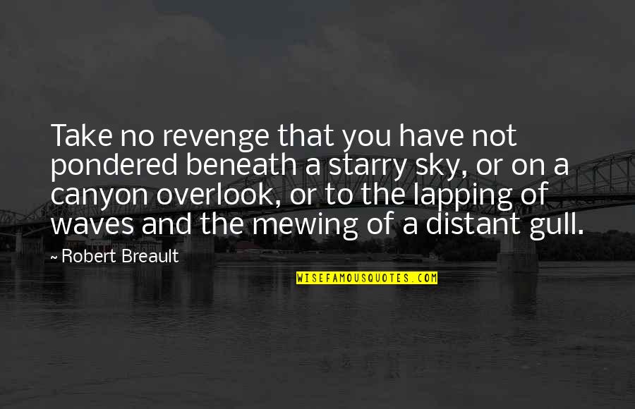 Starry Sky Quotes By Robert Breault: Take no revenge that you have not pondered Starry Sky Quotes By Robert Breault: Take no revenge that you have not pondered