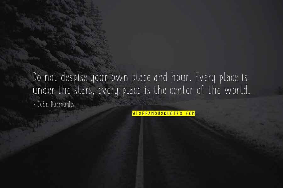 Stars And Life Quotes By John Burroughs: Do not despise your own place and hour.