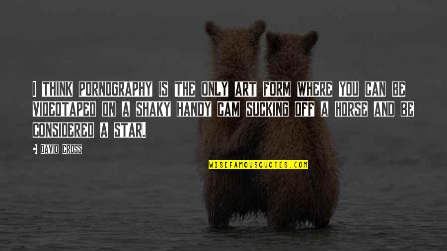 Stars And Quotes By David Cross: I think pornography is the only art form Stars And Quotes By David Cross: I think pornography is the only art form