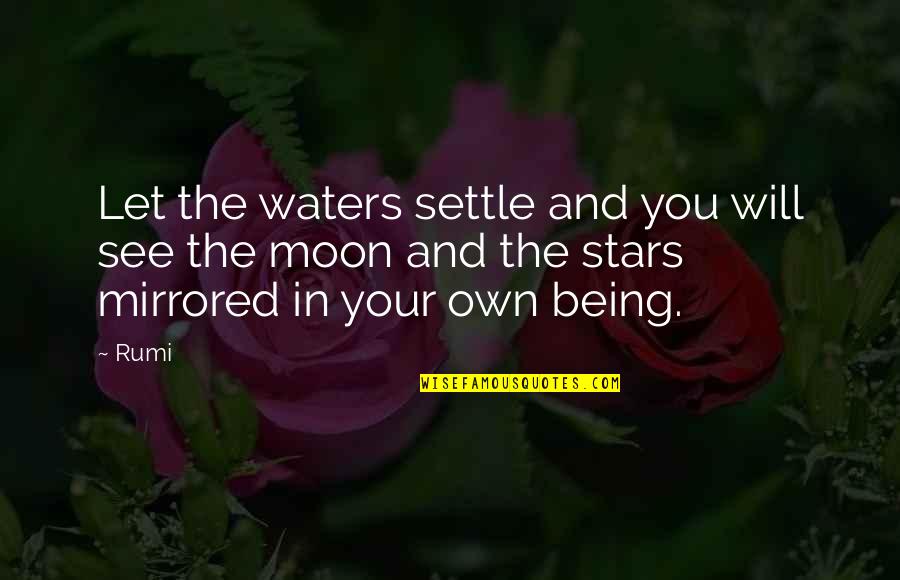 Stars And The Moon Quotes By Rumi: Let the waters settle and you will see