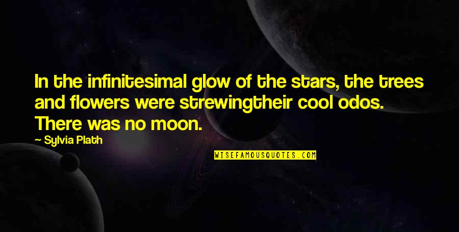 Stars And The Moon Quotes By Sylvia Plath: In the infinitesimal glow of the stars, the