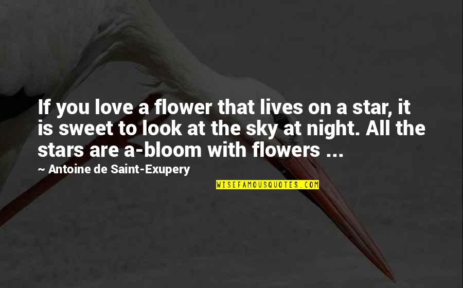 Stars At Night Quotes By Antoine De Saint-Exupery: If you love a flower that lives on