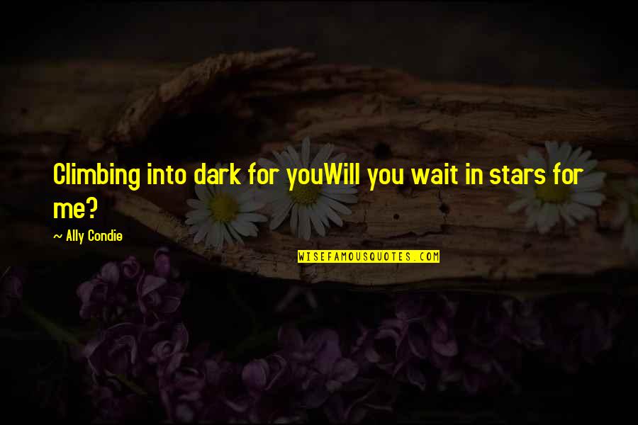 Stars Dark Quotes By Ally Condie: Climbing into dark for youWill you wait in