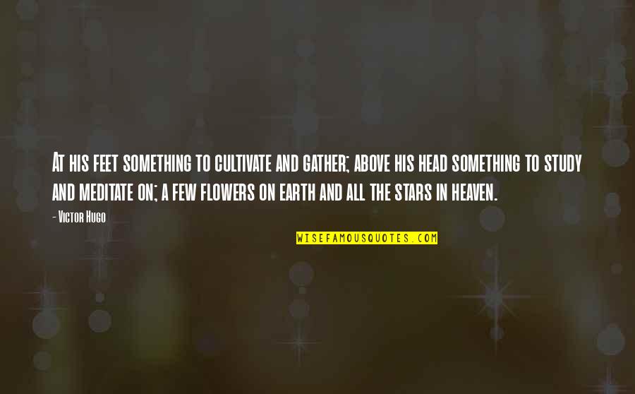 Stars In Heaven Quotes By Victor Hugo: At his feet something to cultivate and gather;