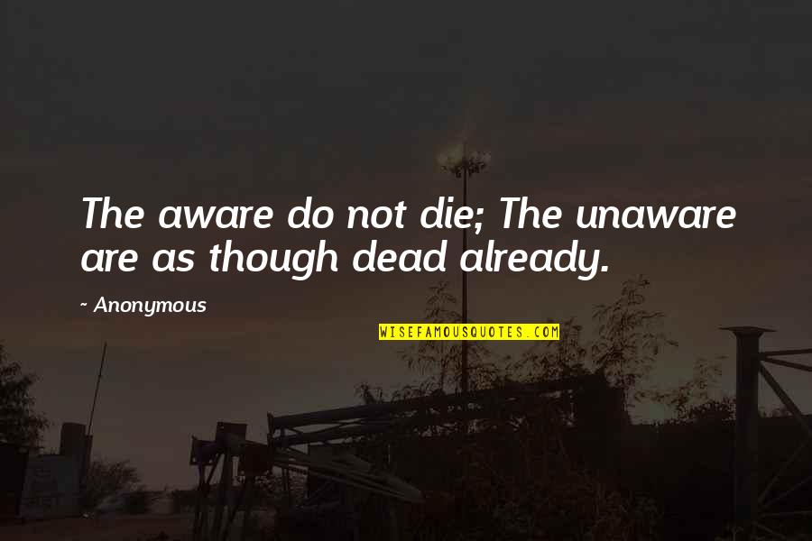 Stars Shine Down Quotes By Anonymous: The aware do not die; The unaware are