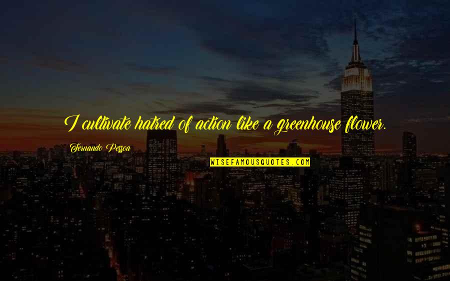 Starsunfolded Quotes By Fernando Pessoa: I cultivate hatred of action like a greenhouse Starsunfolded Quotes By Fernando Pessoa: I cultivate hatred of action like a greenhouse