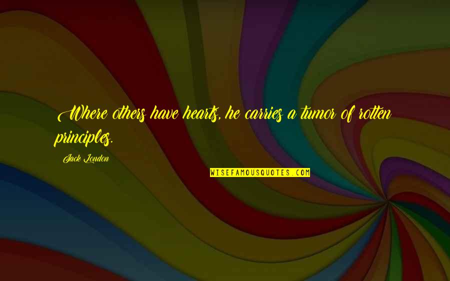Start Falling In Love Quotes By Jack London: Where others have hearts, he carries a tumor