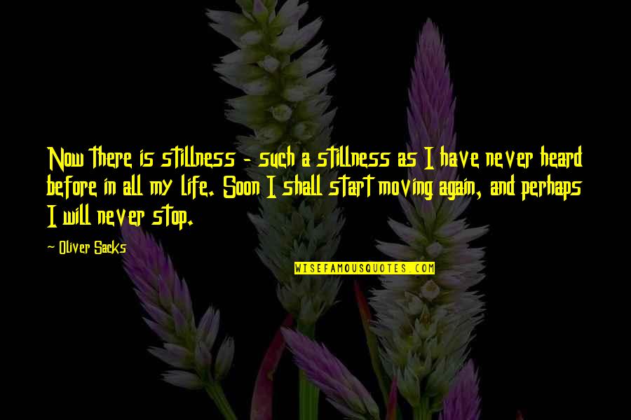 Start Life Again Quotes By Oliver Sacks: Now there is stillness - such a stillness Start Life Again Quotes By Oliver Sacks: Now there is stillness - such a stillness