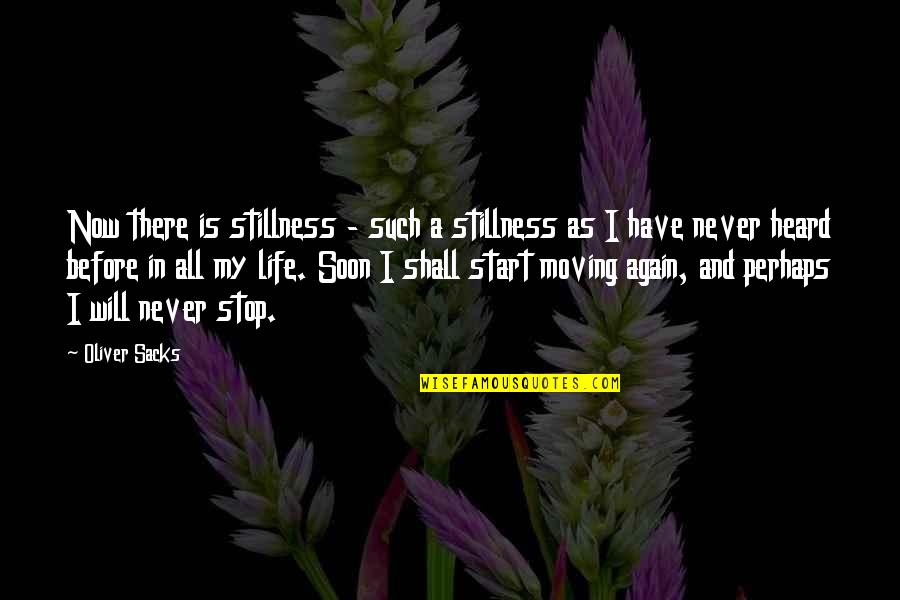 Start Life Now Quotes By Oliver Sacks: Now there is stillness - such a stillness