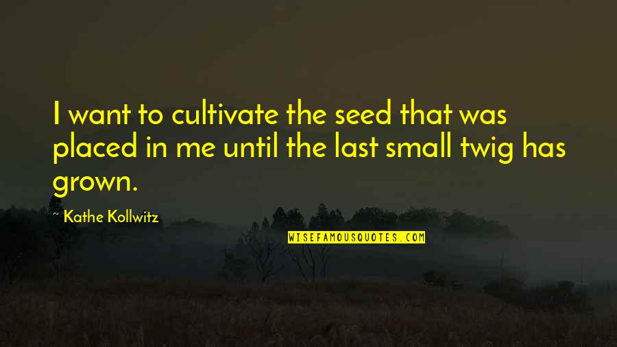 Start New Month Quotes By Kathe Kollwitz: I want to cultivate the seed that was