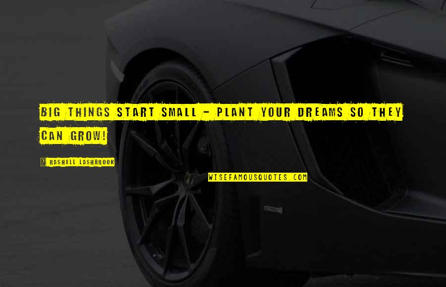 Start Small And Grow Big Quotes By Rashell Lashbrook: Big things start small - Plant your dreams