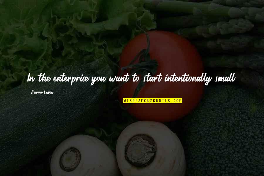 Start Small Quotes By Aaron Levie: In the enterprise you want to start intentionally