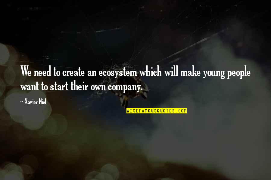 Start Up Company Quotes By Xavier Niel: We need to create an ecosystem which will Start Up Company Quotes By Xavier Niel: We need to create an ecosystem which will