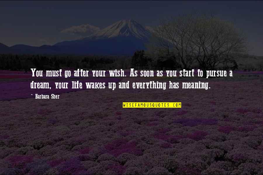Start Your Life Quotes By Barbara Sher: You must go after your wish. As soon Start Your Life Quotes By Barbara Sher: You must go after your wish. As soon