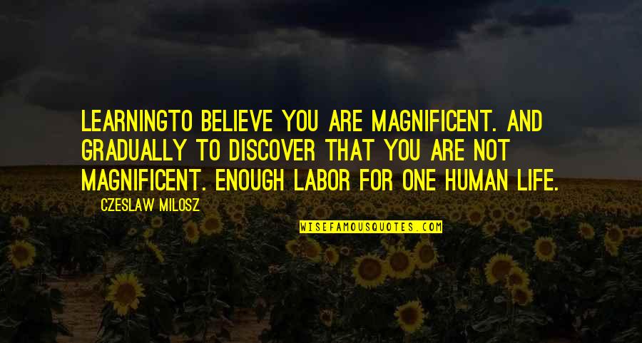 Starting A Book Quotes By Czeslaw Milosz: LearningTo believe you are magnificent. And gradually to