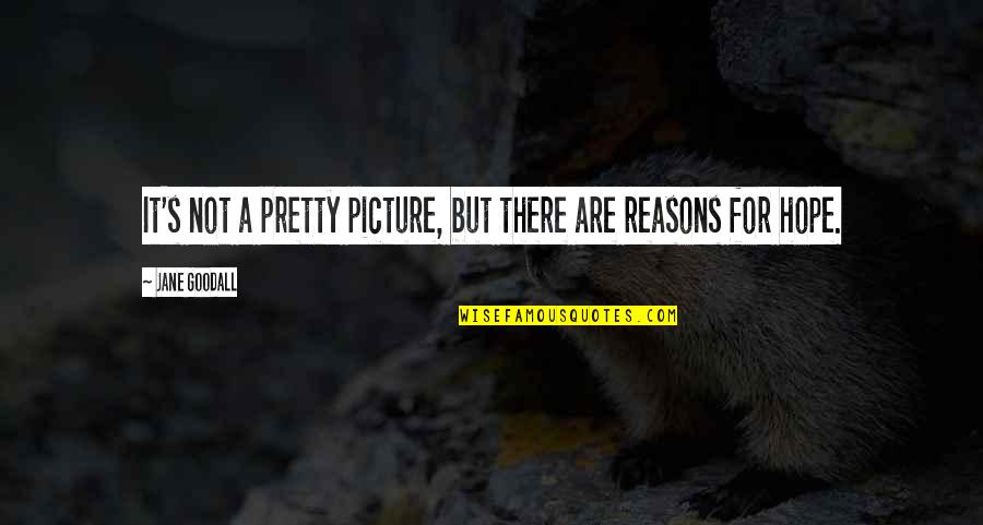 Starting A New Career Quotes By Jane Goodall: It's not a pretty picture, but there are Starting A New Career Quotes By Jane Goodall: It's not a pretty picture, but there are
