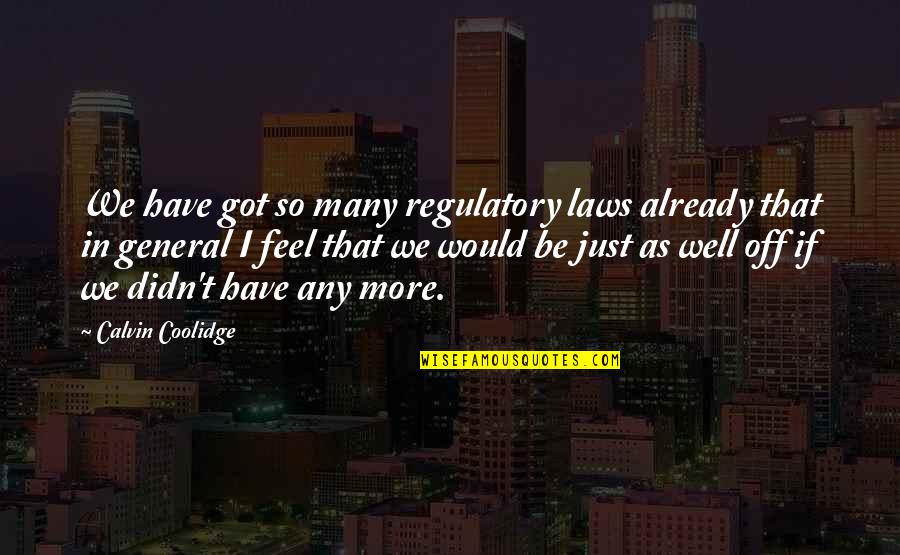 Starting A New Venture Quotes By Calvin Coolidge: We have got so many regulatory laws already