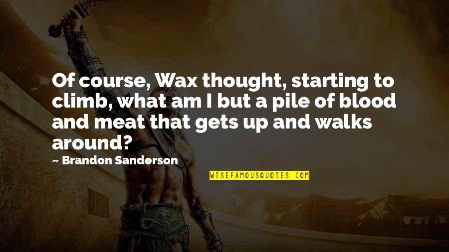 Starting A Quotes By Brandon Sanderson: Of course, Wax thought, starting to climb, what