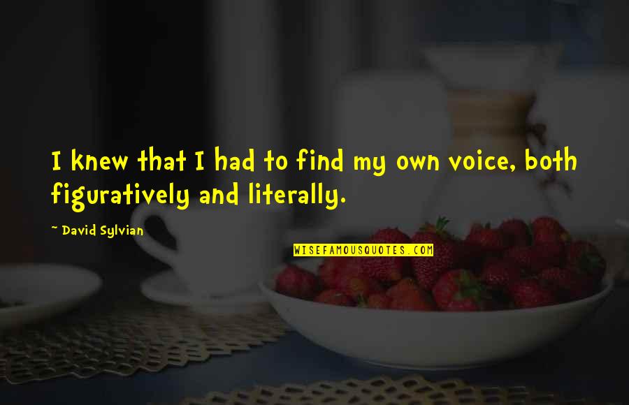 Starting To Lose Hope Quotes By David Sylvian: I knew that I had to find my