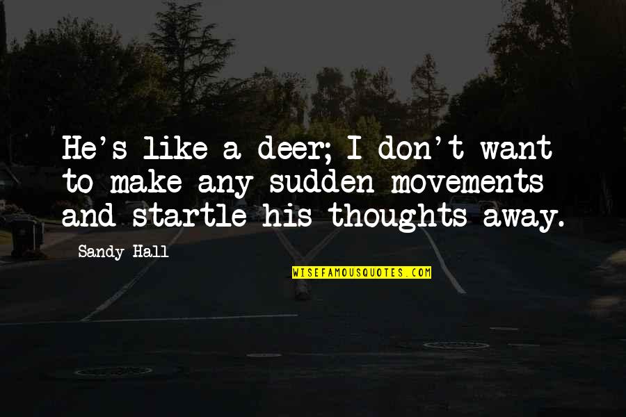 Startle Quotes By Sandy Hall: He's like a deer; I don't want to