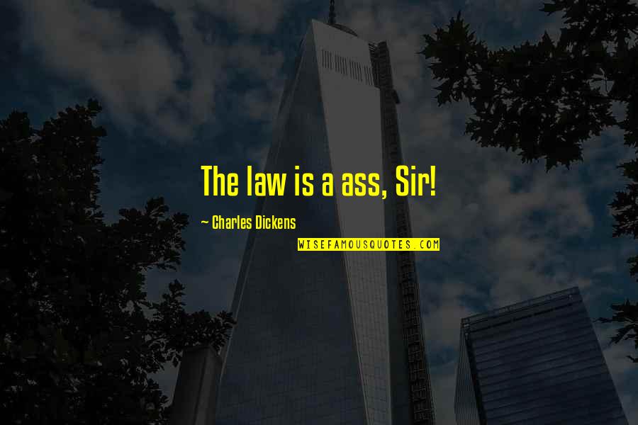 Startlements Quotes By Charles Dickens: The law is a ass, Sir!