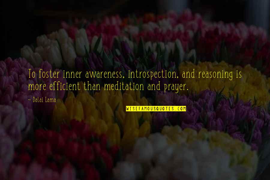 Startre Quotes By Dalai Lama: To foster inner awareness, introspection, and reasoning is