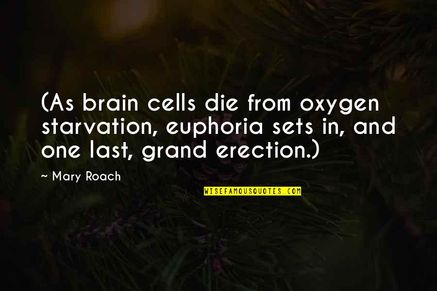 Starvation 3 Quotes By Mary Roach: (As brain cells die from oxygen starvation, euphoria Starvation 3 Quotes By Mary Roach: (As brain cells die from oxygen starvation, euphoria