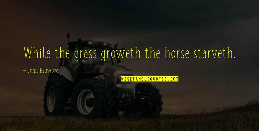 Starveth Quotes By John Heywood: While the grass groweth the horse starveth.