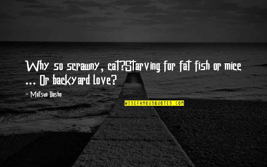 Starving Love Quotes By Matsuo Basho: Why so scrawny, cat?Starving for fat fish or