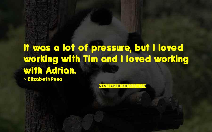 Stasiukas Quotes By Elizabeth Pena: It was a lot of pressure, but I Stasiukas Quotes By Elizabeth Pena: It was a lot of pressure, but I