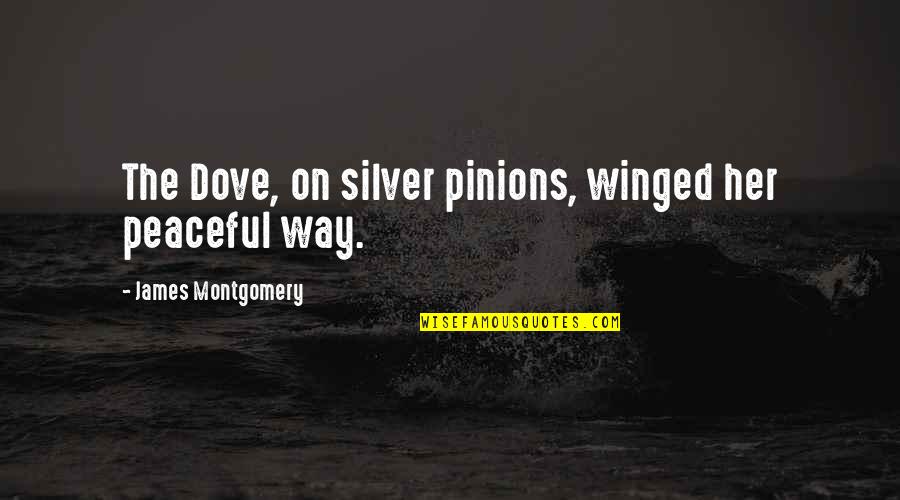 Stassia Stakis Quotes By James Montgomery: The Dove, on silver pinions, winged her peaceful Stassia Stakis Quotes By James Montgomery: The Dove, on silver pinions, winged her peaceful
