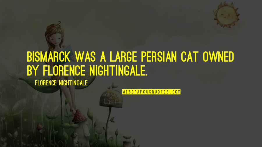 Stata Local Quotes By Florence Nightingale: Bismarck was a large persian cat owned by