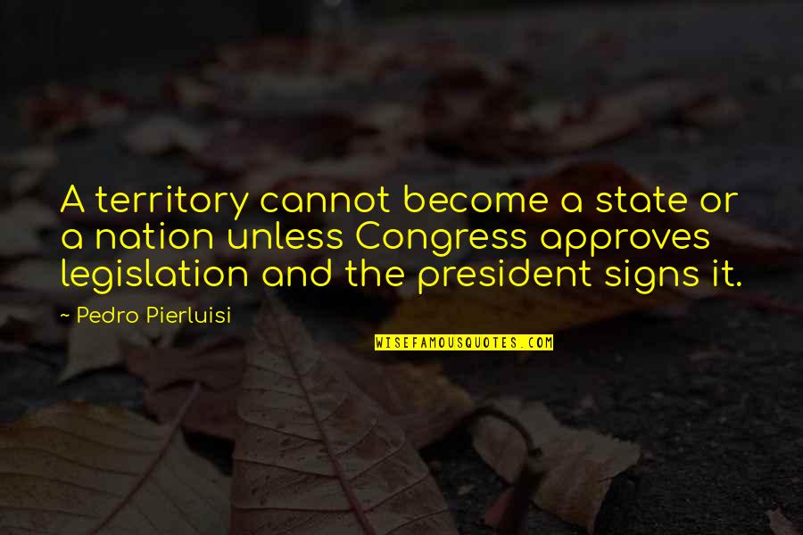 State Of The Nation Quotes By Pedro Pierluisi: A territory cannot become a state or a State Of The Nation Quotes By Pedro Pierluisi: A territory cannot become a state or a