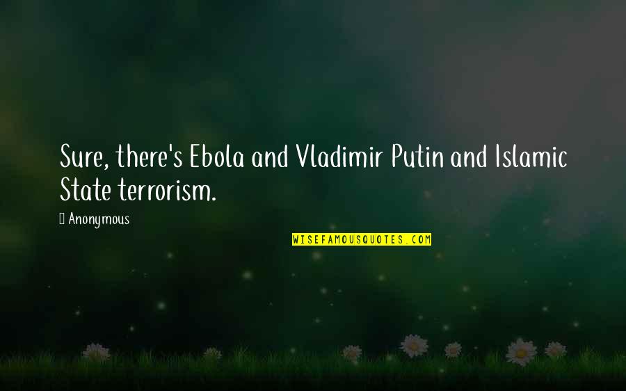 State Terrorism Quotes By Anonymous: Sure, there's Ebola and Vladimir Putin and Islamic